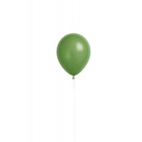Latexballon "Eucalyptus" heliumgefüllt (Ø ca. 28 cm)